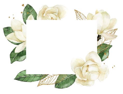 Dibujo De Acuarela Marco Rectangular Con Flores Blancas Y Hojas De