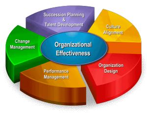 Organizational Effectiveness Anchorbizit