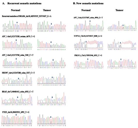 Sanger Sequencing Validated Somatic Mutations A Somatic Mutations