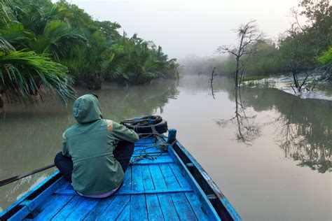 7 Top Sundarban Tour Operators and Packages