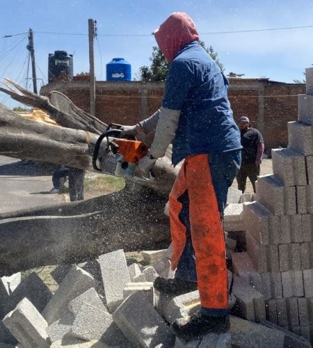 Atiende Protecci N Civil De San Pedro Cholula Reportes Por Fuertes Vientos