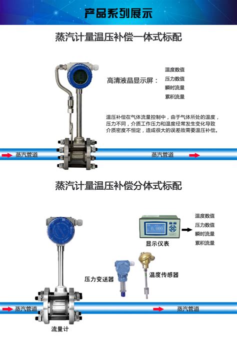 Dn50饱和蒸汽流量表 一步电子网