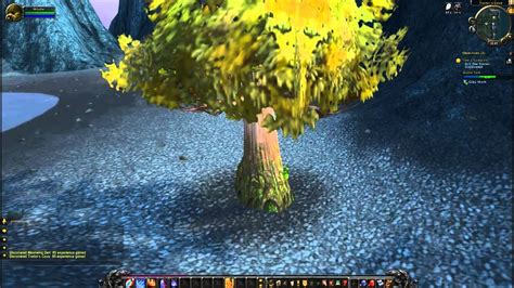 Tree S Company Quest World Of Warcraft Youtube