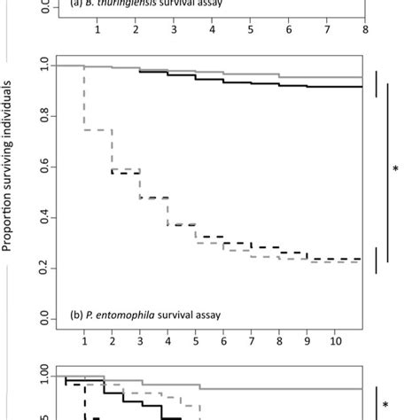 Survival Of B Bassiana Coevolved Beetles Upon Infection Upon Exposure Download Scientific