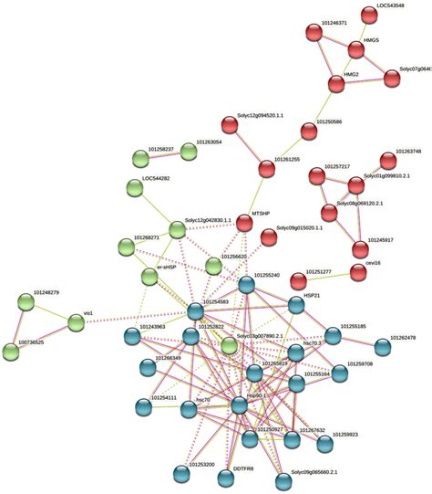 Protein Protein Interaction Network Analysis Of Degs Between Transgenic