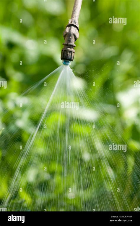 Spraying Herbicide Onto Weeds Using Hi Res Stock Photography And Images