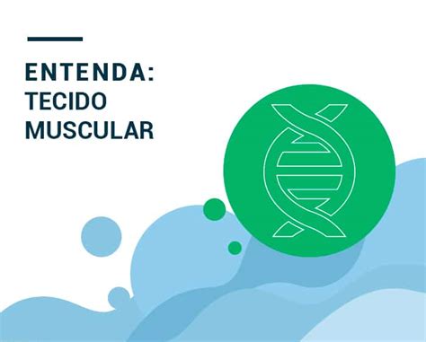 Stoodi Tecido muscular características funções e muito mais