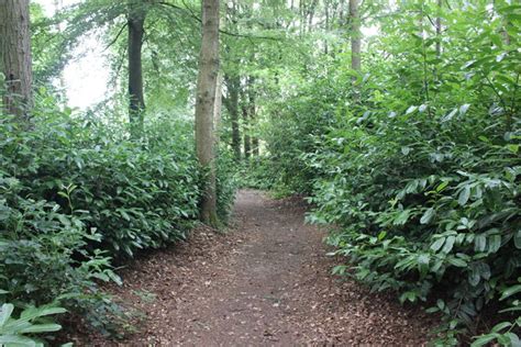 The Woodland Walk At Chirk Castle © Jeff Buck Geograph Britain And