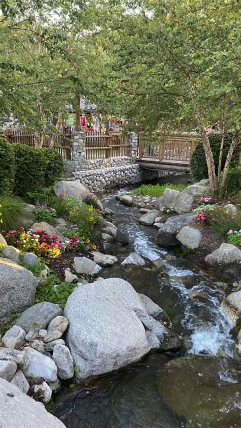 Knotts Berry Flowers Nature Photography Water Pond Flowers