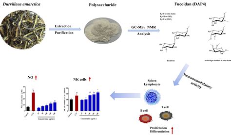 Marine Drugs Free Full Text Purification Chemical Characterization