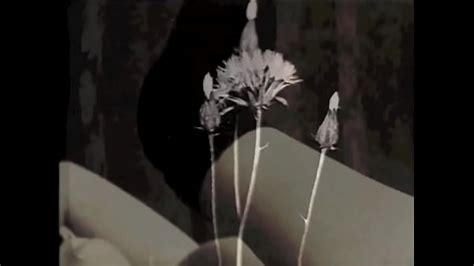 Walter Model Page XVIDEOS