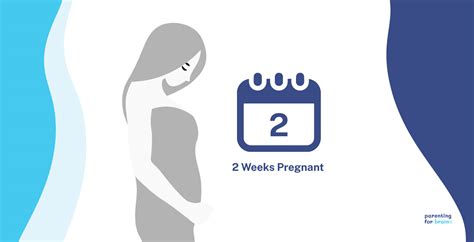 2 Weeks Pregnant: Week 2 of Pregnancy Symptoms and Preconception Tips