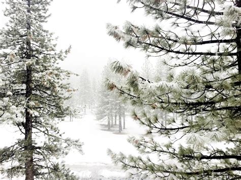 Lake Tahoe : Winter Wonderland - Her Travel Edit