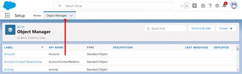 Creating Salesforce Objects And Tabs Standard And Custom