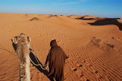 Tunisie L Oasis De Ksar Ghilane Et Les Dunes De Sabria Les Routes