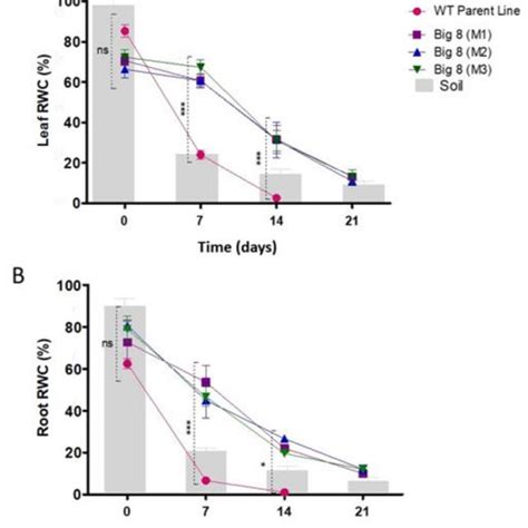 Comparison Between Relative Water Content Rwc Of Leaves A And