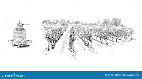 Vineyard Landscape. France. Vector Sketch Design. Hand Drawn Stock ...