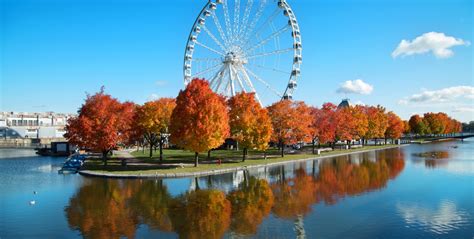 Adirondack Fall Foliage Rail Experience from Montreal | Amtrak Vacations®