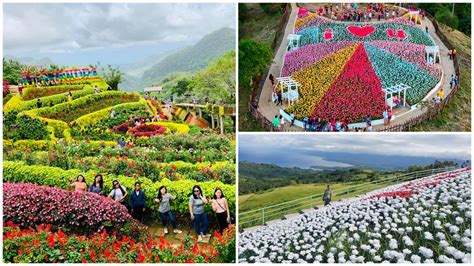 6 Most Beautiful Flower Gardens In The Philippines Visminph