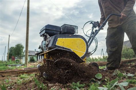 A Man Intensively Plows His Vegetable Garden Motor Cultivator Stock