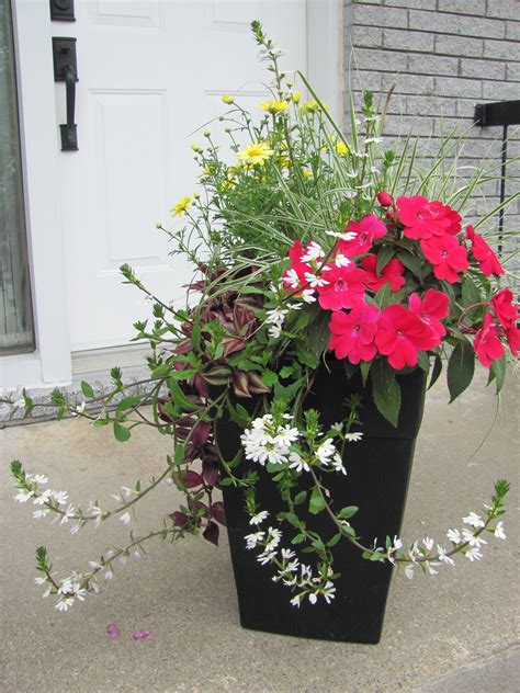 Outdoor Container Arrangements at Angie Amber blog
