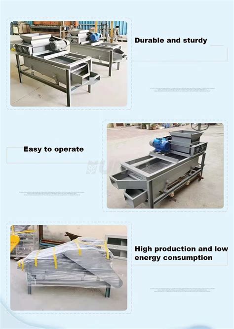 Automatic Walnut Pistachios Almond Nuts Cracking Shelling Machine