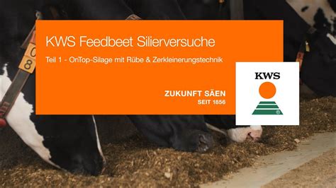 Kws Feedbeet Silierversuche I Teil Ontop Silage Mit R Be