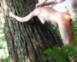 Wifey Gets Bitchy By Stranger ZB Porn