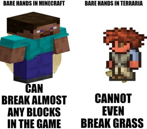 The best Terraria memes :) Memedroid