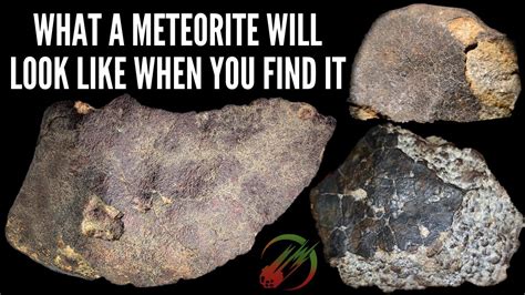 What Real Meteorites Looks Like When You Find Them ☄️ Rockhound Advice From Meteorite Experts