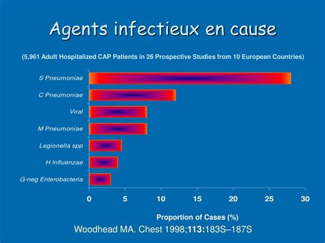 PPT Antibiothérapie probabiliste PowerPoint Presentation free