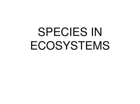 Ppt Species In Ecosystems Powerpoint Presentation Free Download Id