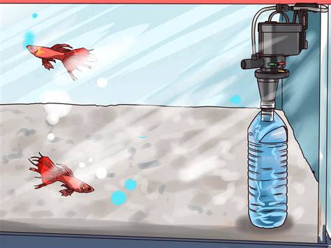 3 Ways To Make Your Own Underwater Aquarium Filter WikiHow