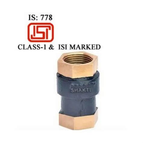 Shakti Water ISI Gun Metal Vertical Check Valves Valve Size 15 150mm