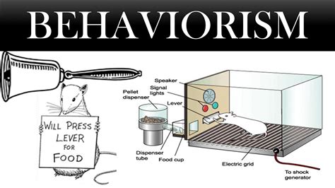 Behaviorism Learning Theory Infographic Matthew P Pizzi