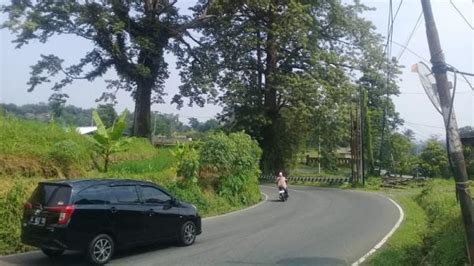 Coba Lintasi Jalur Pemalang Selatan Pengendara Wajib Hati Hati Jalan