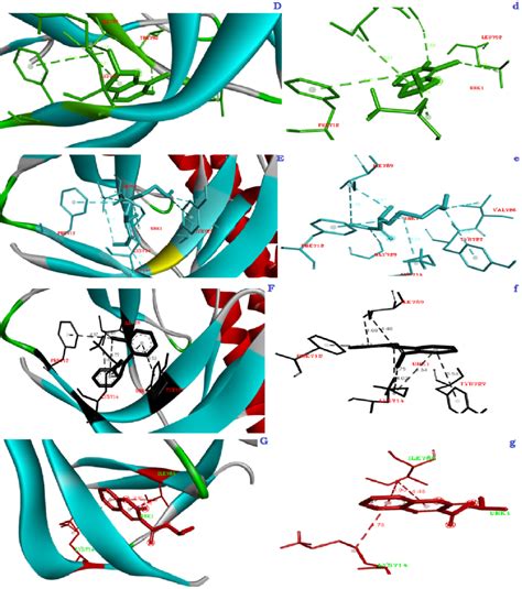 The 3D And 2D Graphical Representations Of The Best Binding Mode And