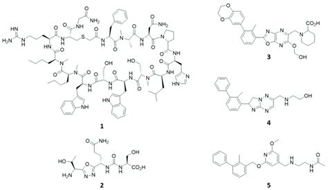 Examples Of Chemical Structures Of Cyclic Peptides 1 Peptidomimetics