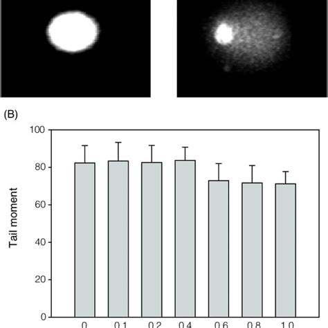 Effect Of Sodium Hydrogen Sulfite On Sodium Nitroprusside SNP Induced