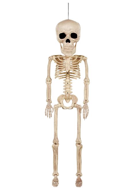 38" Big Head Skeleton Halloween Prop | Skeleton Décor