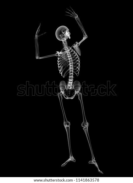 X Ray Human Body 3d Render Stock Illustration 1141863578 Shutterstock