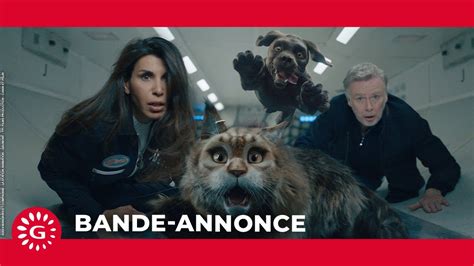 CHIEN ET CHAT Bande annonce Le 14 février au cinéma YouTube