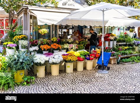 Plaza De Las Flores Flower Market Cadiz Spain Stock Photo Alamy