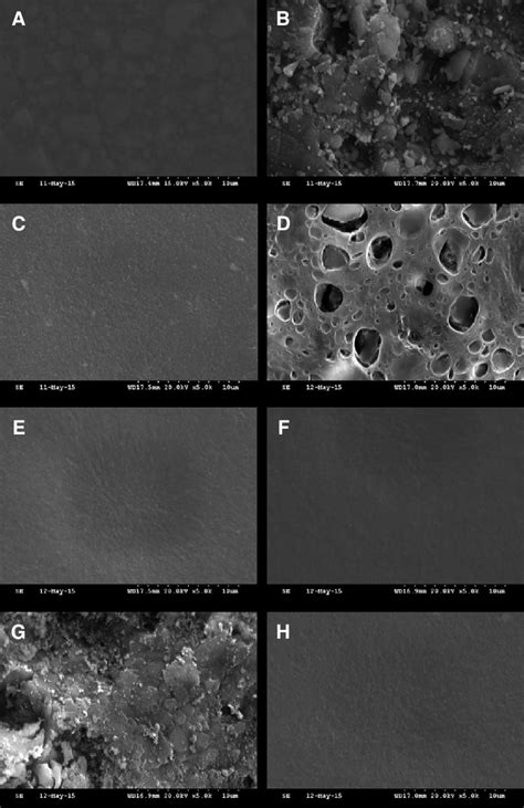 Scanning electron microscopy images (×5000 magnification). (A) Group N ...