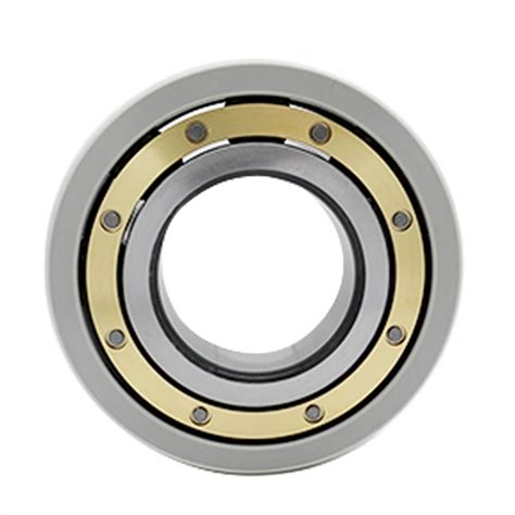 Nu Ecm C Vl Insulated Insocoat Bearings Current Passage Rolling