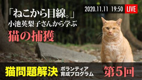 第5回 猫問題解決ボランティア育成プログラム 〜「ねこから目線。」小池英梨子さんから学ぶ 猫の捕獲〜 Moe Zine