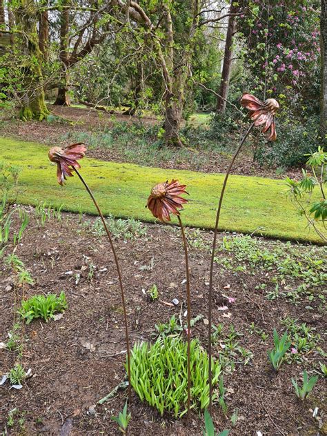 Emily Stone Copper Echinacea Sculpture Delamore Copper Creatures