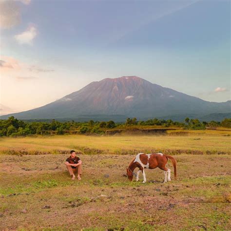 Savana Tianyar Update Foto Lokasi Rute Tiket