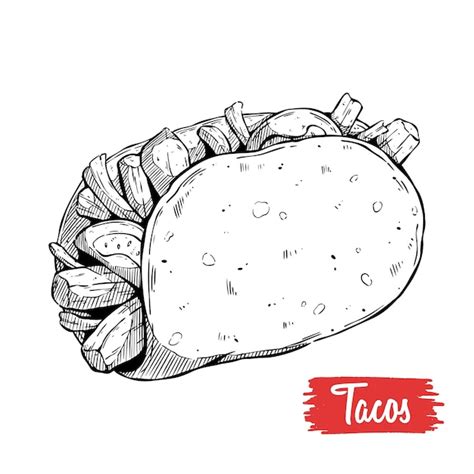 Premium Vector Hand Drawn Sketch Style Taco Traditional Mexican Fast