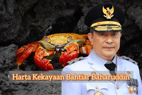 Produksi Kepiting Di Wilayahnya Capai Ribuan Ton Dalam Setahun Segini